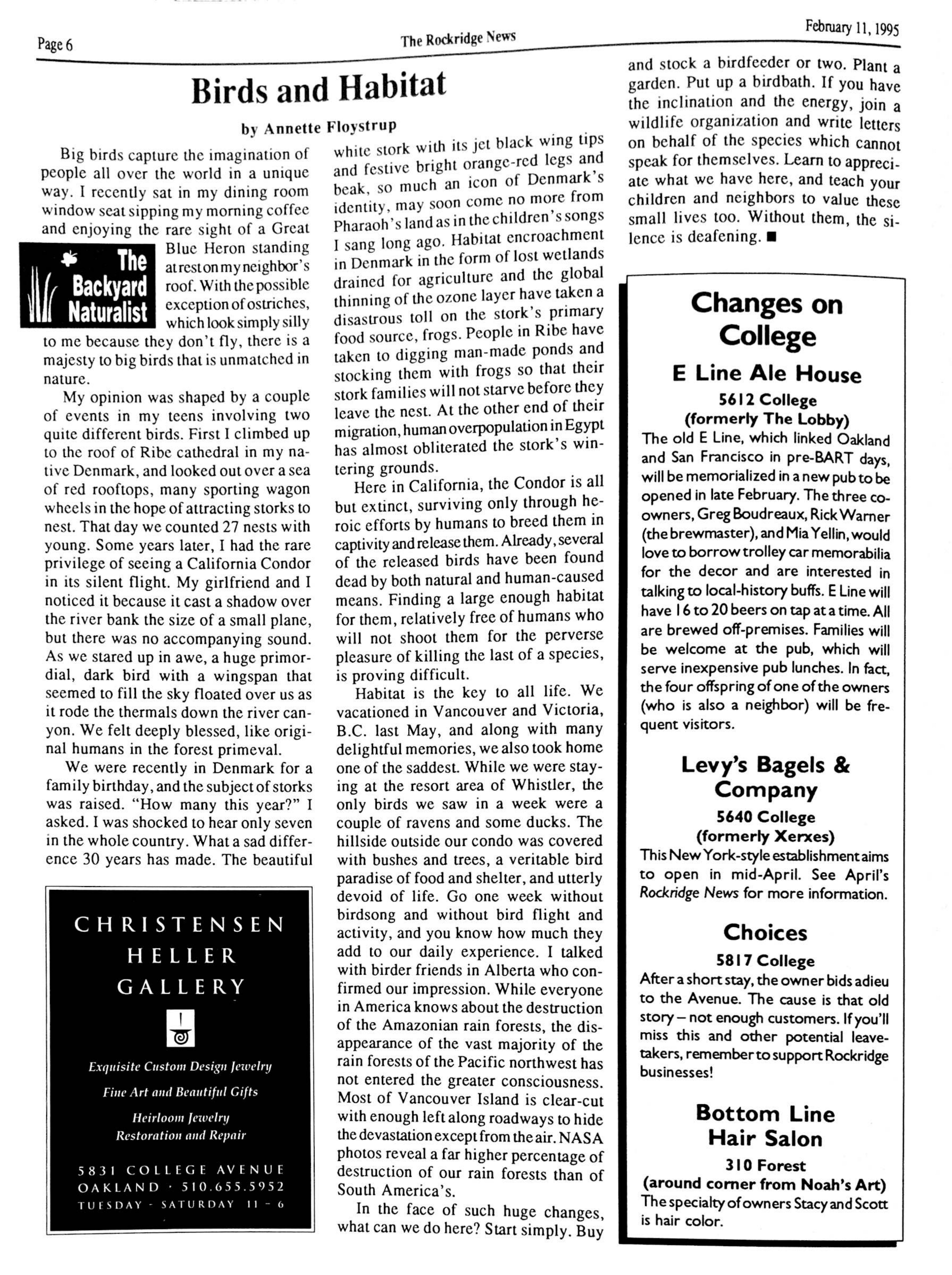 The Rockridge News, February 1995, page 6