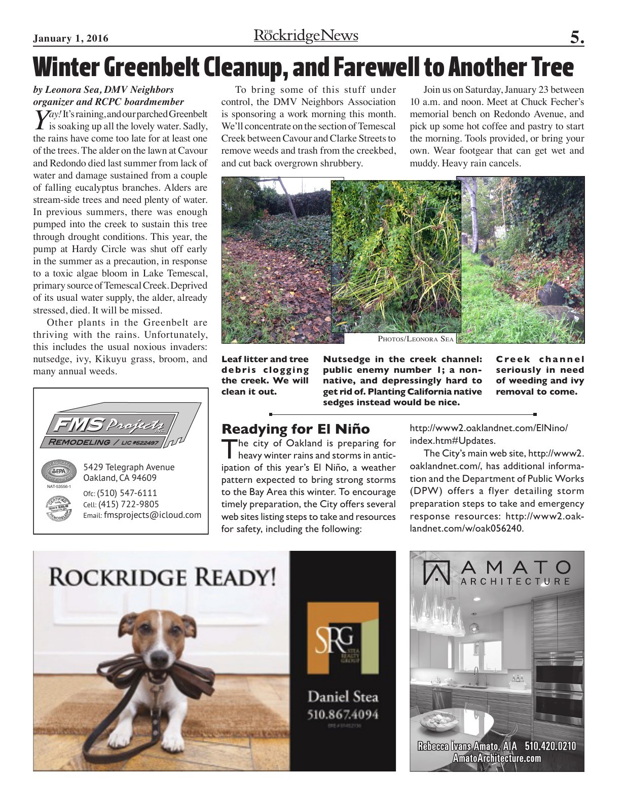 Click to zoom in The Rockridge News, January 2016, page 5